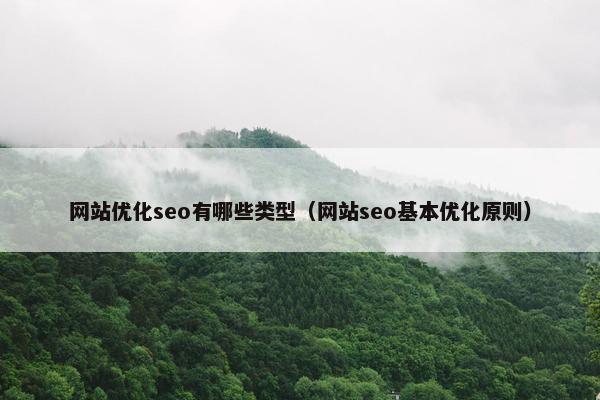 网站优化seo有哪些类型（网站seo基本优化原则）