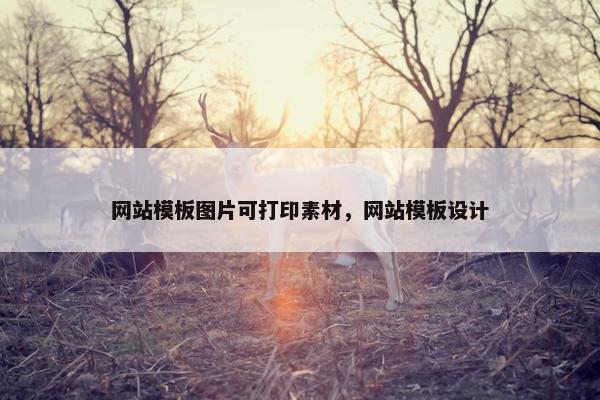 网站模板图片可打印素材，网站模板设计