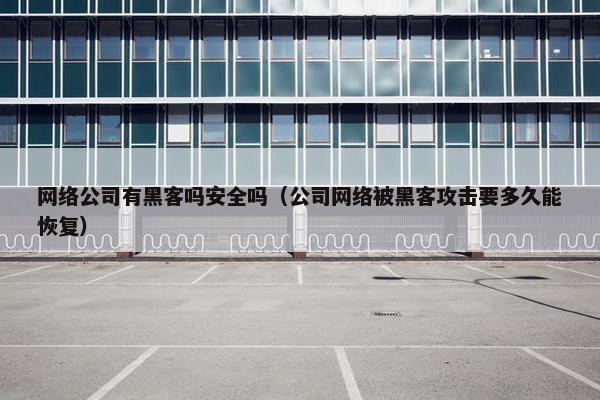 网络公司有黑客吗安全吗（公司网络被黑客攻击要多久能恢复）