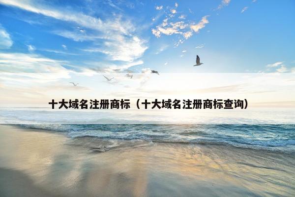 十大域名注册商标（十大域名注册商标查询）
