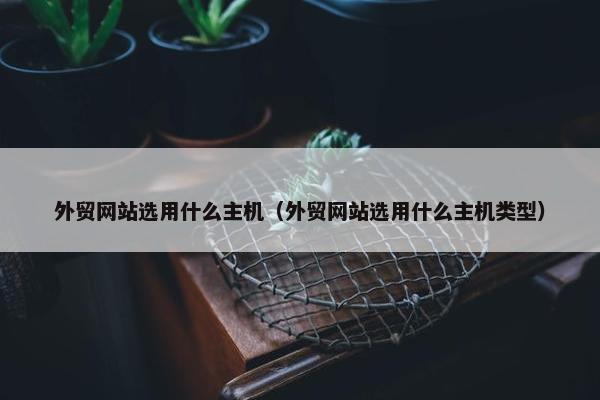 外贸网站选用什么主机（外贸网站选用什么主机类型）