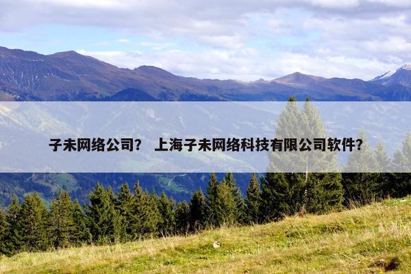 子未网络公司？ 上海子未网络科技有限公司软件？