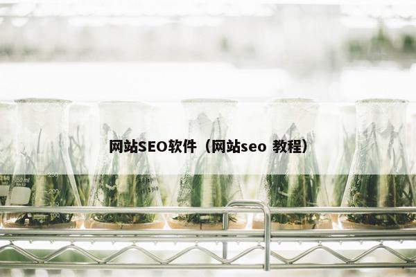 网站SEO软件（网站seo 教程）