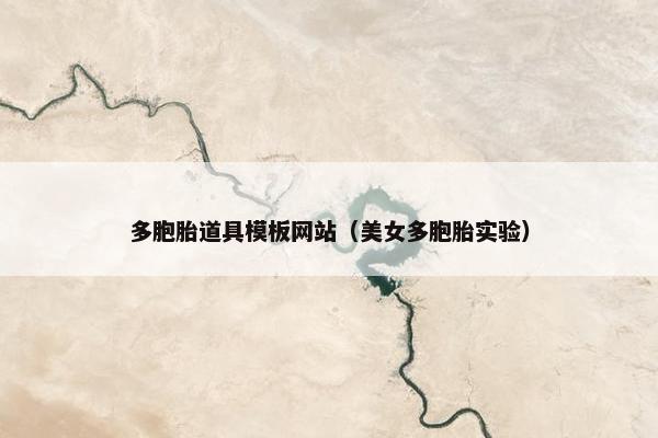多胞胎道具模板网站（美女多胞胎实验）