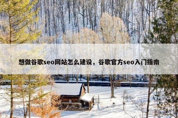 想做谷歌seo网站怎么建设，谷歌官方seo入门指南