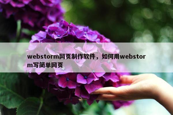 webstorm网页制作软件，如何用webstorm写简单网页