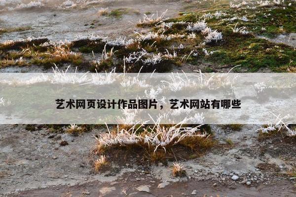 艺术网页设计作品图片，艺术网站有哪些