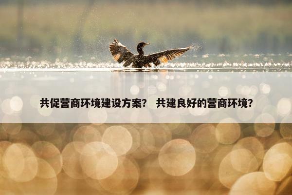 共促营商环境建设方案？ 共建良好的营商环境？