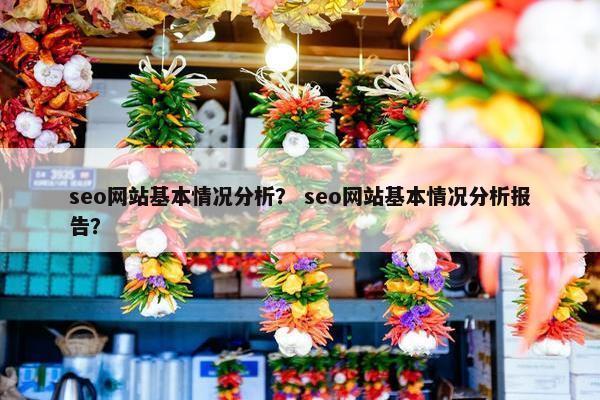 seo网站基本情况分析？ seo网站基本情况分析报告？