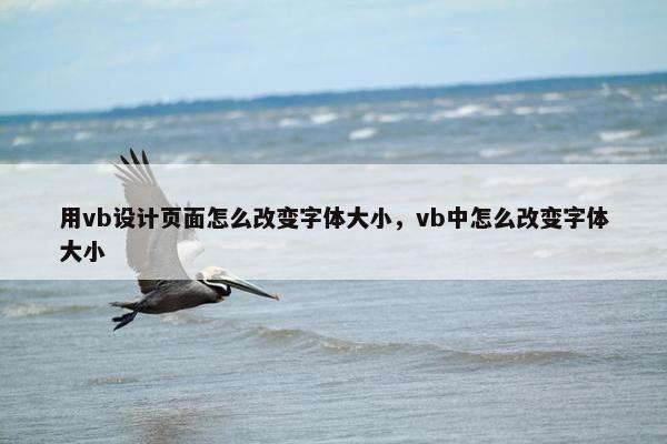 用vb设计页面怎么改变字体大小，vb中怎么改变字体大小