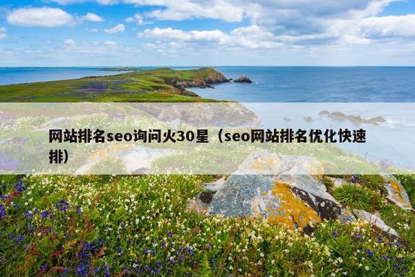 网站排名seo询问火30星（seo网站排名优化快速排）