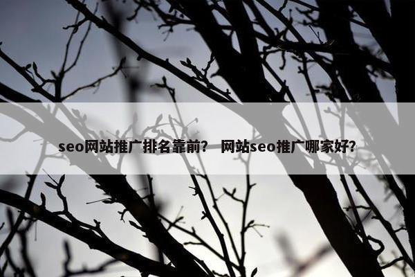 seo网站推广排名靠前？ 网站seo推广哪家好？
