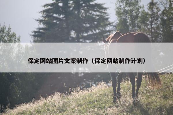 保定网站图片文案制作（保定网站制作计划）