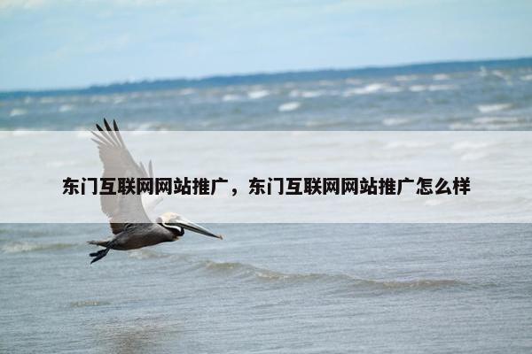 东门互联网网站推广，东门互联网网站推广怎么样