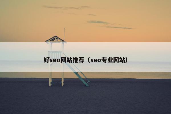 好seo网站推荐（seo专业网站）