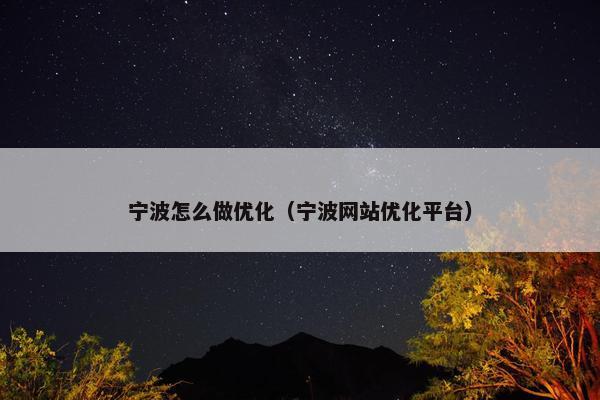 宁波怎么做优化（宁波网站优化平台）