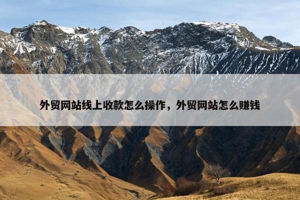 外贸网站线上收款怎么操作，外贸网站怎么赚钱