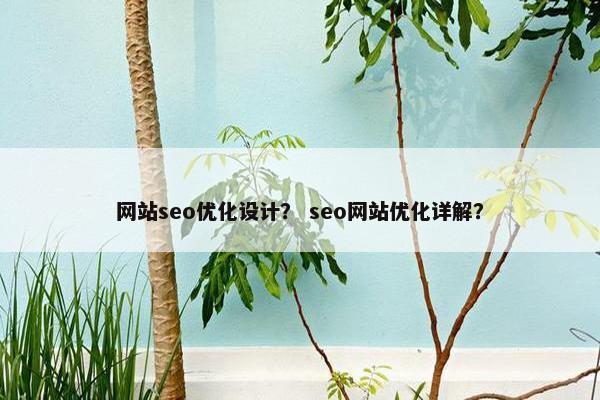 网站seo优化设计？ seo网站优化详解？