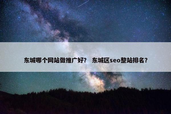 东城哪个网站做推广好？ 东城区seo整站排名？