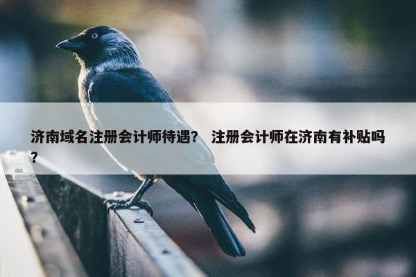 济南域名注册会计师待遇？ 注册会计师在济南有补贴吗？