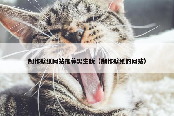 制作壁纸网站推荐男生版（制作壁纸的网站）