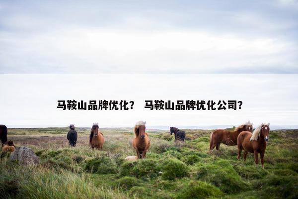 马鞍山品牌优化？ 马鞍山品牌优化公司？