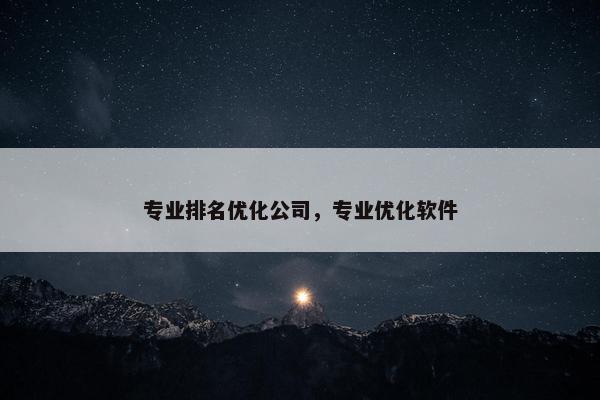 专业排名优化公司，专业优化软件
