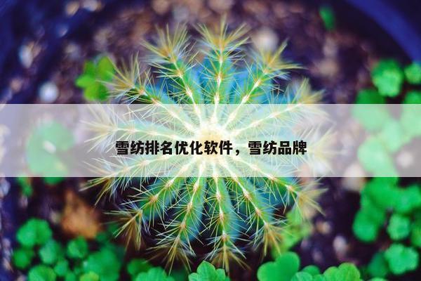 雪纺排名优化软件，雪纺品牌