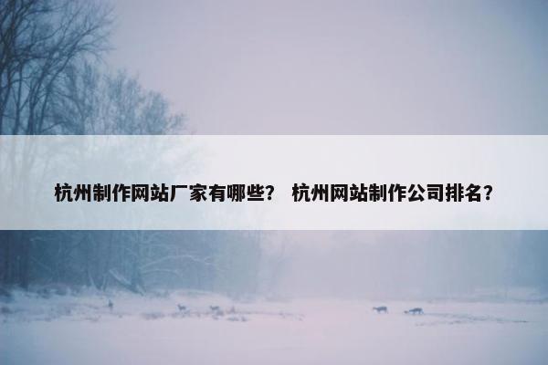 杭州制作网站厂家有哪些？ 杭州网站制作公司排名？