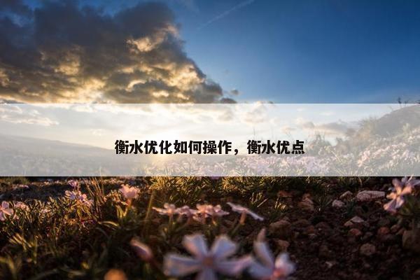 衡水优化如何操作，衡水优点