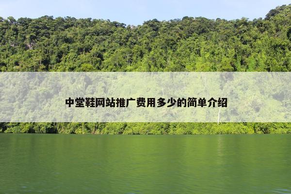 中堂鞋网站推广费用多少的简单介绍