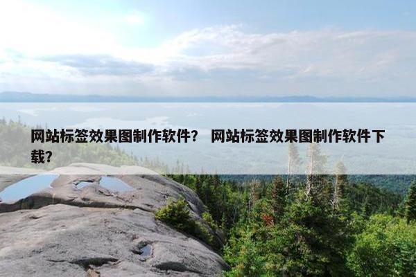 网站标签效果图制作软件？ 网站标签效果图制作软件下载？