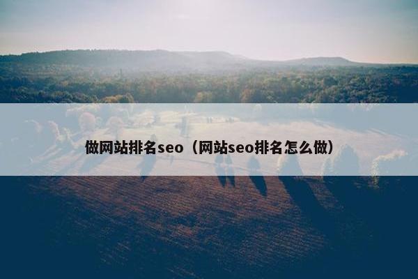 做网站排名seo（网站seo排名怎么做）