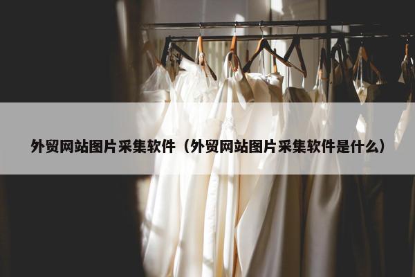 外贸网站图片采集软件（外贸网站图片采集软件是什么）
