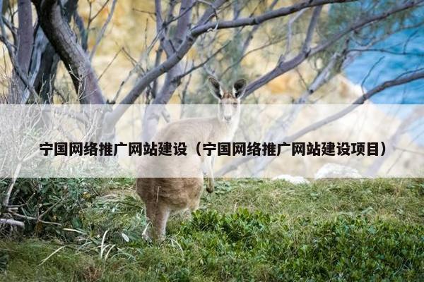 宁国网络推广网站建设（宁国网络推广网站建设项目）