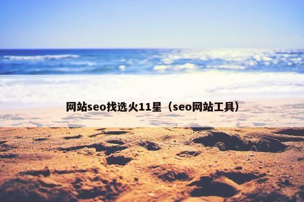 网站seo找选火11星（seo网站工具）