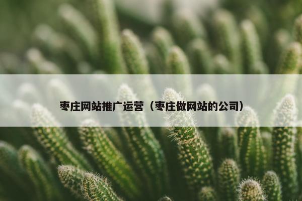 枣庄网站推广运营（枣庄做网站的公司）