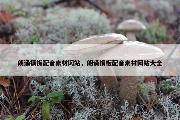朗诵模板配音素材网站，朗诵模板配音素材网站大全