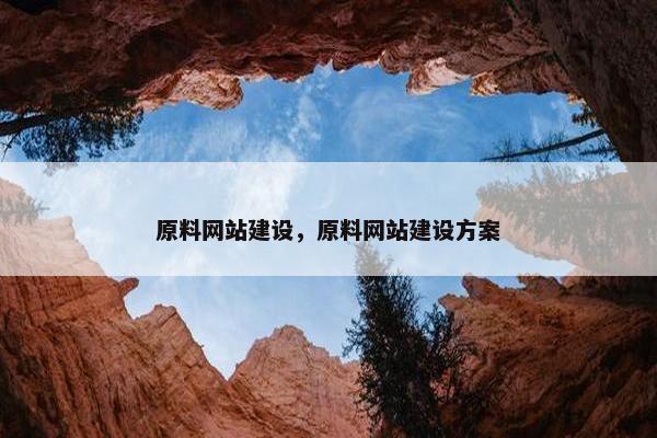 原料网站建设，原料网站建设方案
