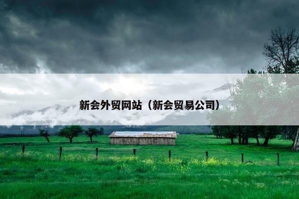 新会外贸网站（新会贸易公司）