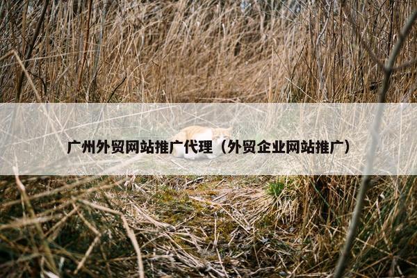 广州外贸网站推广代理（外贸企业网站推广）