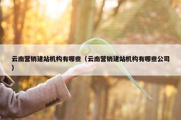 云南营销建站机构有哪些（云南营销建站机构有哪些公司）