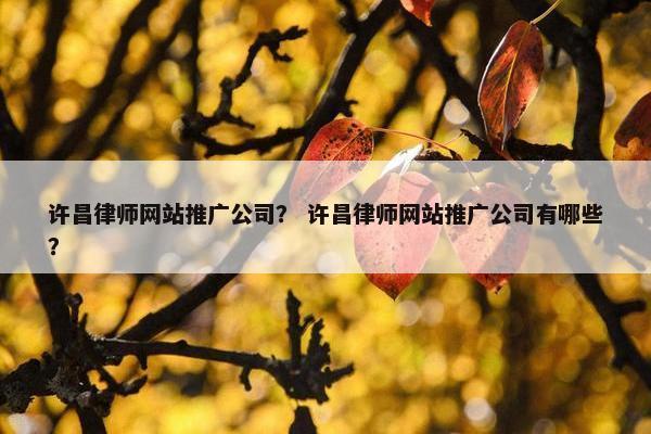 许昌律师网站推广公司？ 许昌律师网站推广公司有哪些？