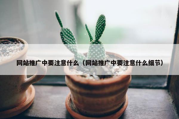 网站推广中要注意什么（网站推广中要注意什么细节）
