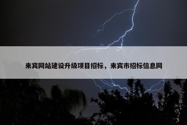 来宾网站建设升级项目招标，来宾市招标信息网