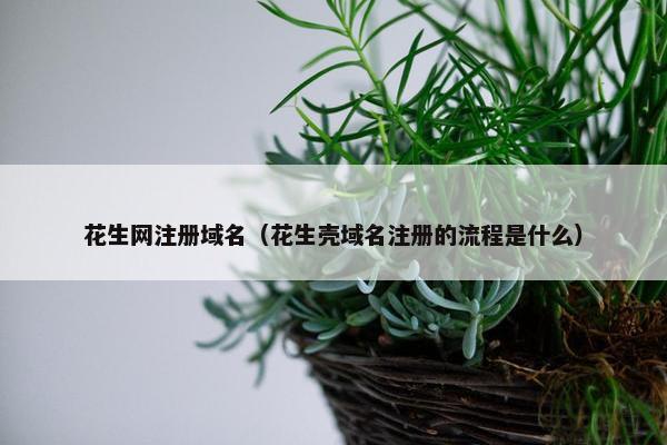 花生网注册域名（花生壳域名注册的流程是什么）