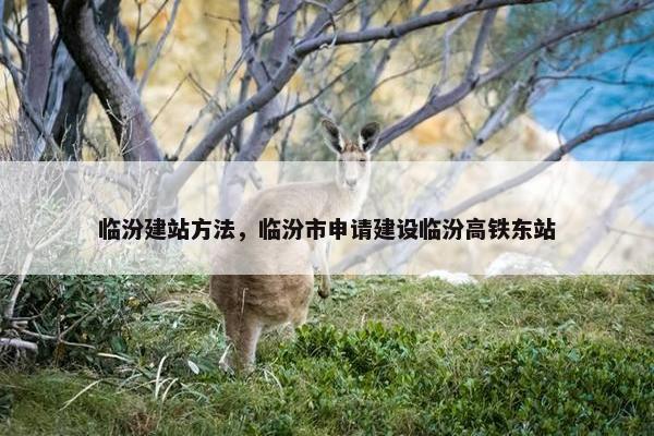 临汾建站方法，临汾市申请建设临汾高铁东站