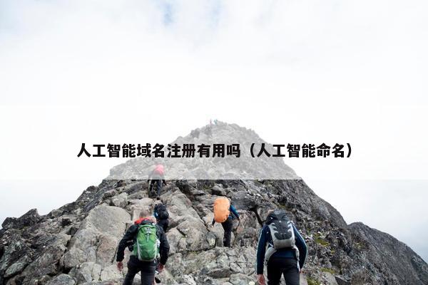 人工智能域名注册有用吗（人工智能命名）