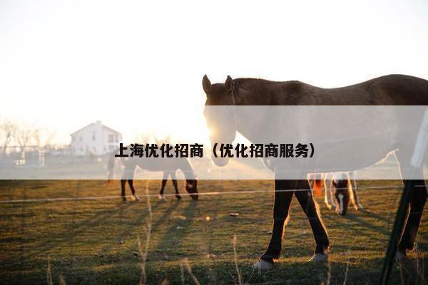 上海优化招商（优化招商服务）