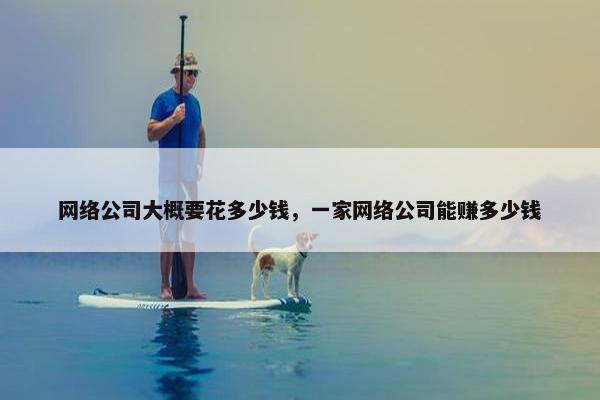 网络公司大概要花多少钱，一家网络公司能赚多少钱